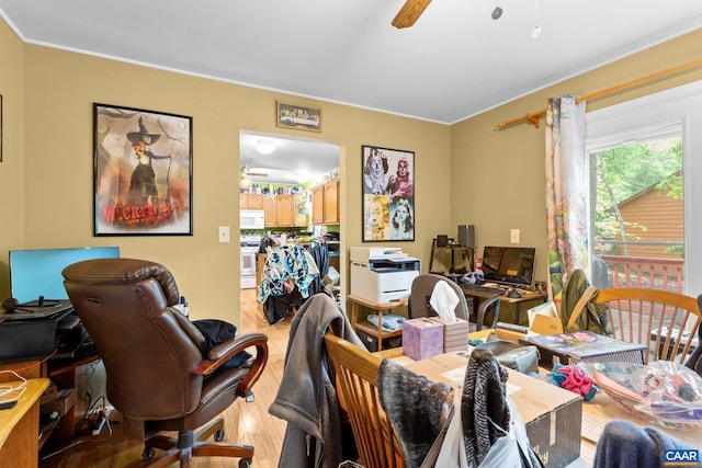 13 Tobacco Ter, Palmyra, VA 22963 - office space featuring ceiling fan, light wood-style floors, and crown molding