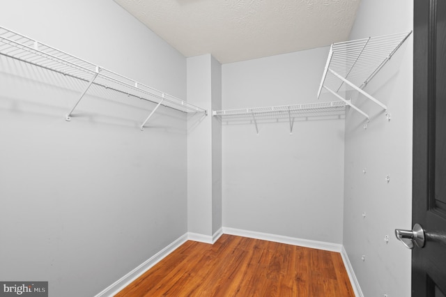 2000 Phillips Ter Unit 12, Annapolis, MD 21401 - walk in closet with wood finished floors