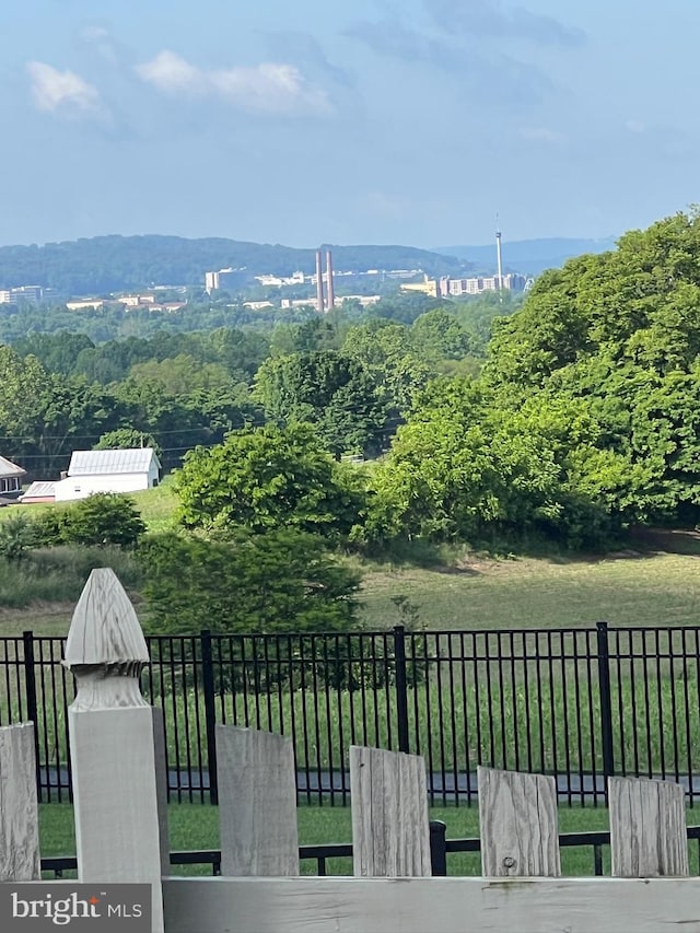 13 N Clearview Dr, Palmyra, PA 17078 - view of mountain backdrop