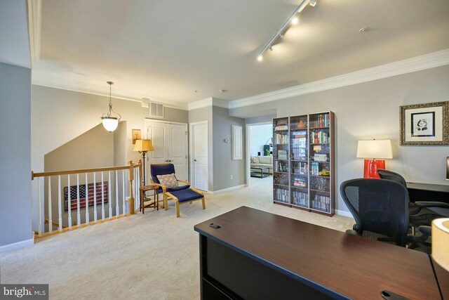 21623 Romans Dr, Ashburn, VA 20147 - office featuring rail lighting, carpet floors, ornamental molding, and baseboards