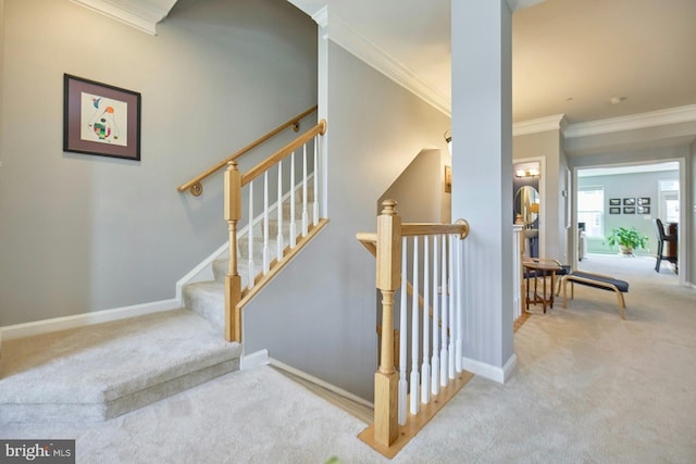 21623 Romans Dr, Ashburn, VA 20147 - stairway featuring carpet flooring, crown molding, and baseboards
