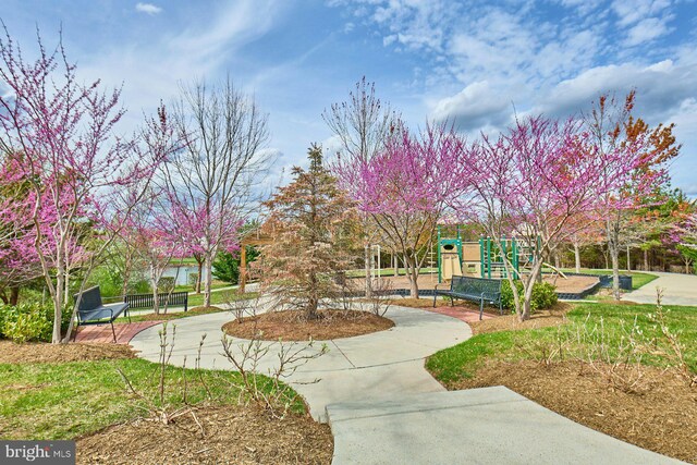 21623 Romans Dr, Ashburn, VA 20147 - view of home's community
