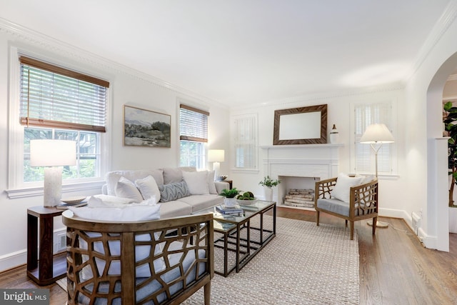 3703 Thornapple St, Chevy Chase, MD 20815 - living area with arched walkways, wood finished floors, crown molding, a fireplace, and baseboards