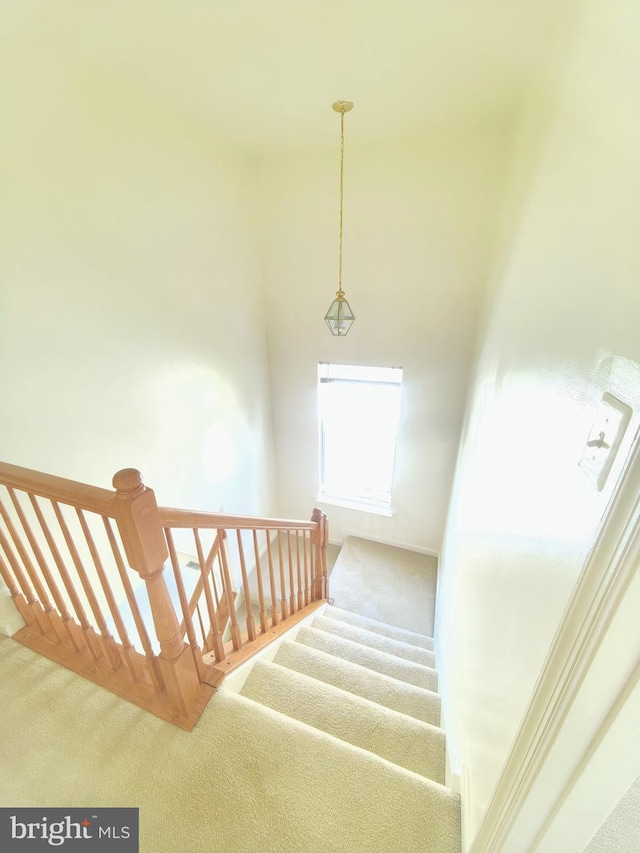 35547 Sarasota St, Round Hill, VA 20141 - stairway with carpet