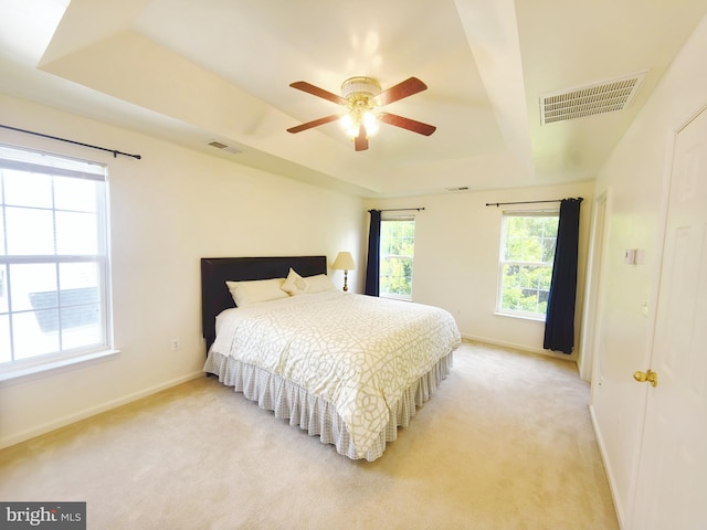35547 Sarasota St, Round Hill, VA 20141 - bedroom featuring a tray ceiling, baseboards, and light colored carpet