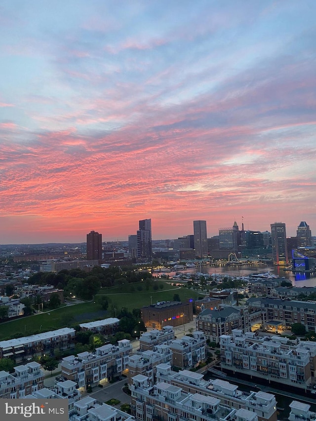 100 Harborview Unit 2307, Baltimore, MD 21230 - view of city