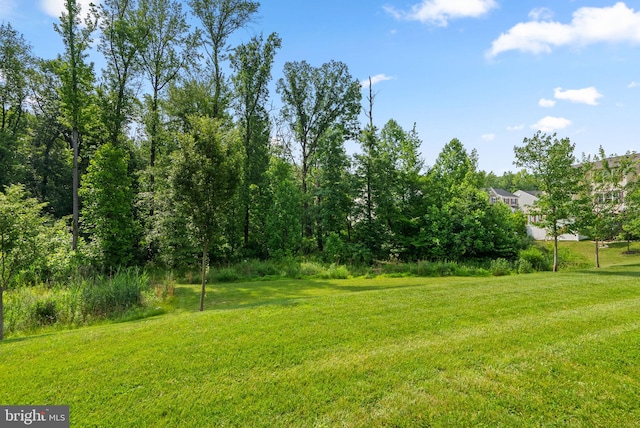 9950 Ravenhurst Rd, Middle River, MD 21220 - view of grassy yard