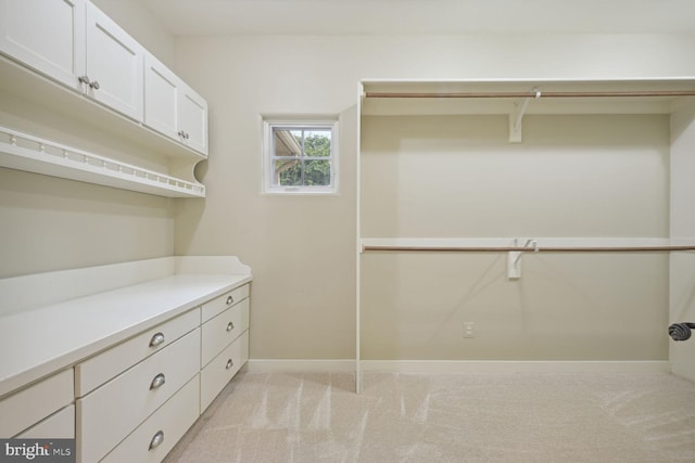 5420 Moorland Ln, Bethesda, MD 20814 - walk in closet with light colored carpet