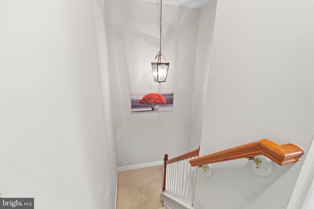 13 Tulip Ct, Mount Laurel, NJ 08054 - stairs with carpet and baseboards