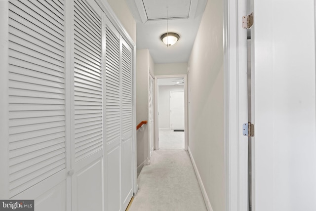 13 Tulip Ct, Mount Laurel, NJ 08054 - hall featuring attic access, light carpet, and baseboards