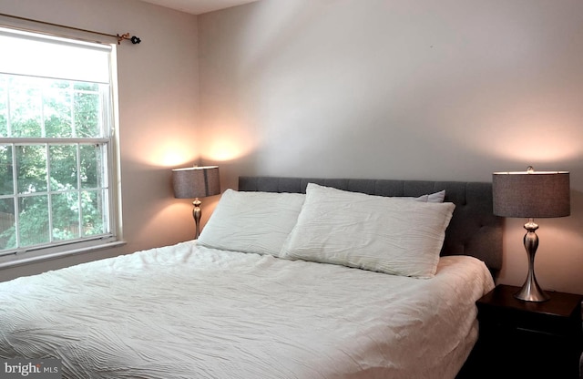8307 Satinleaf Ct, Bowie, MD 20715 - view of bedroom