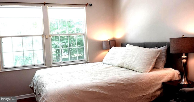 8307 Satinleaf Ct, Bowie, MD 20715 - bedroom featuring multiple windows