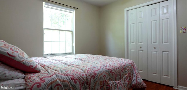 8307 Satinleaf Ct, Bowie, MD 20715 - bedroom with dark wood-style floors and a closet