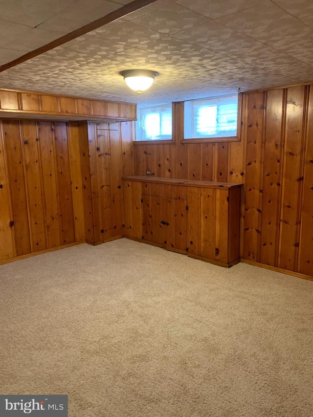 3918 Dudley Ave, Baltimore, MD 21213 - below grade area featuring wooden walls and carpet