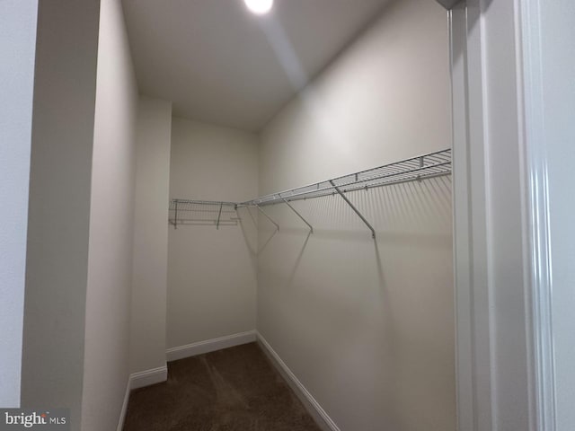 21 Kay Chiarello Way, Hamilton, NJ 08690 - walk in closet with dark colored carpet