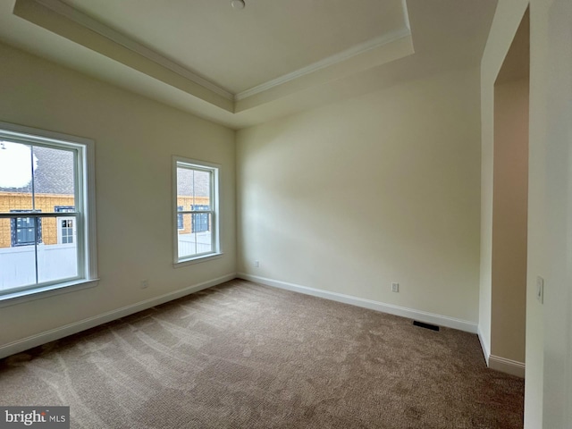 21 Kay Chiarello Way, Hamilton, NJ 08690 - carpeted spare room with crown molding, baseboards, and a tray ceiling