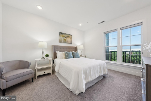 210 Decoverly Dr Unit 407, Gaithersburg, MD 20878 - bedroom featuring carpet floors and recessed lighting