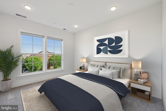 210 Decoverly Dr Unit 407, Gaithersburg, MD 20878 - bedroom featuring carpet, recessed lighting, and baseboards
