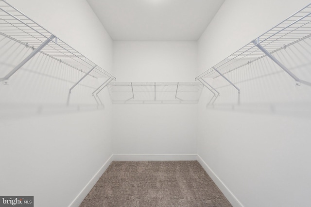 210 Decoverly Dr Unit 407, Gaithersburg, MD 20878 - spacious closet with carpet flooring