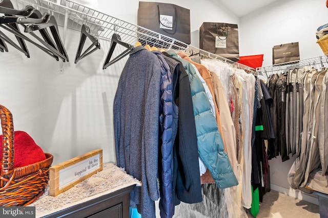 1741 Mckenna Point Dr Unit 2701, Mclean, VA 22102 - walk in closet with carpet and vaulted ceiling