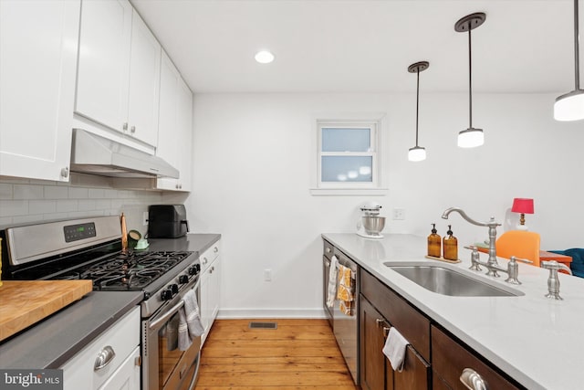 1620 E Berks St, Philadelphia, PA 19125 - kitchen featuring stainless steel appliances, under cabinet range hood, a sink, light wood-style flooring, and backsplash