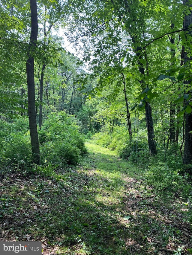 0 Mountain Rd, Shermans Dale, PA 17090