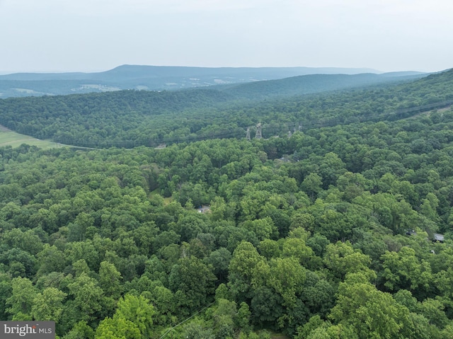 0 Mountain Rd, Shermans Dale, PA 17090