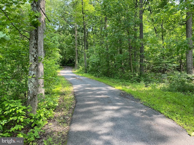 0 Mountain Rd, Shermans Dale, PA 17090