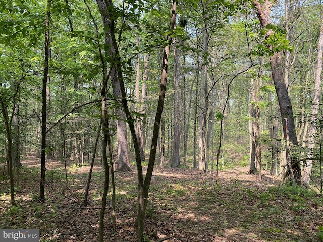 0 Mountain Rd, Shermans Dale, PA 17090