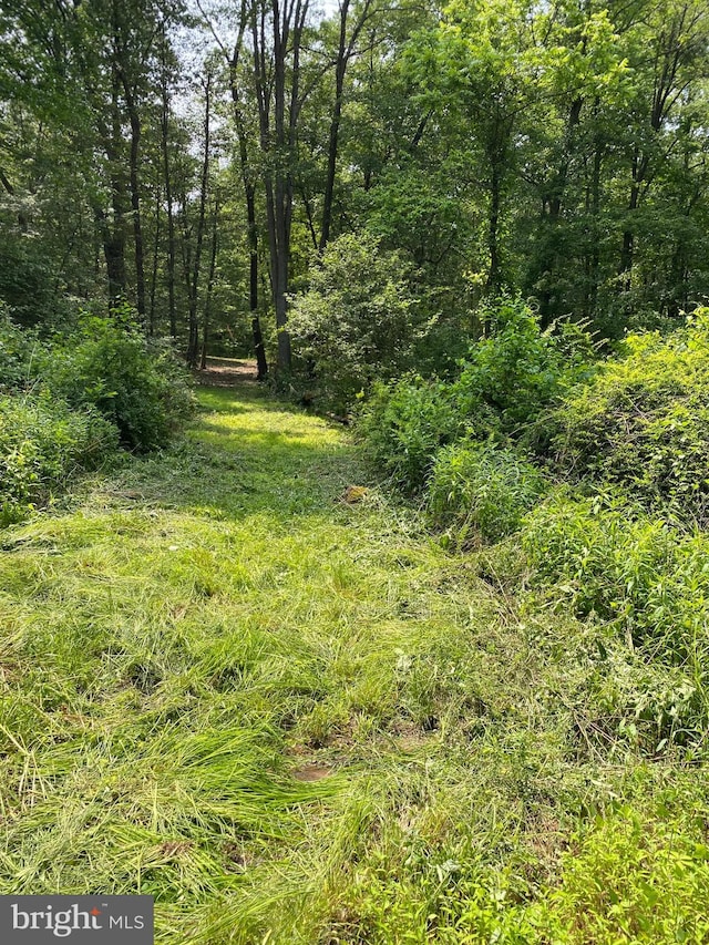 0 Mountain Rd, Shermans Dale, PA 17090