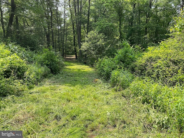 0 Mountain Rd, Shermans Dale, PA 17090
