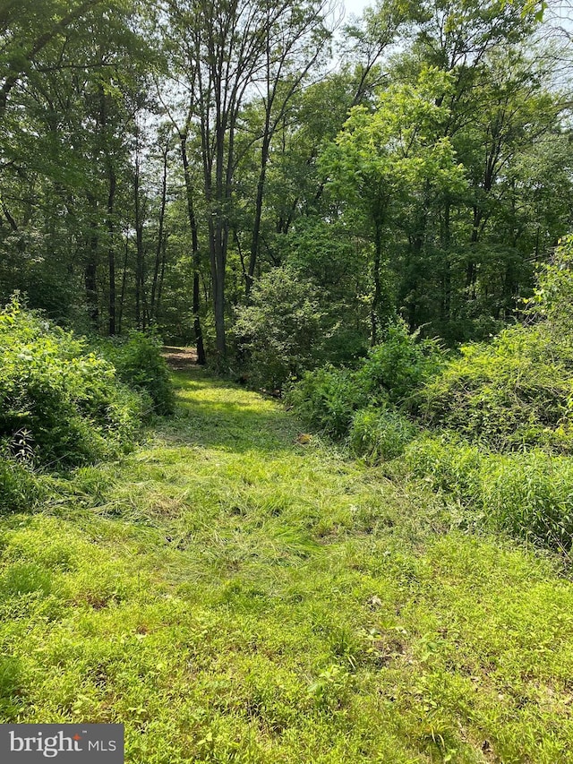 0 Mountain Rd, Shermans Dale, PA 17090