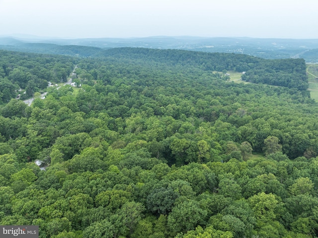 0 Mountain Rd, Shermans Dale, PA 17090