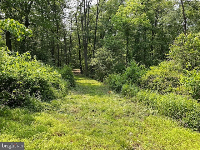 0 Mountain Rd, Shermans Dale, PA 17090