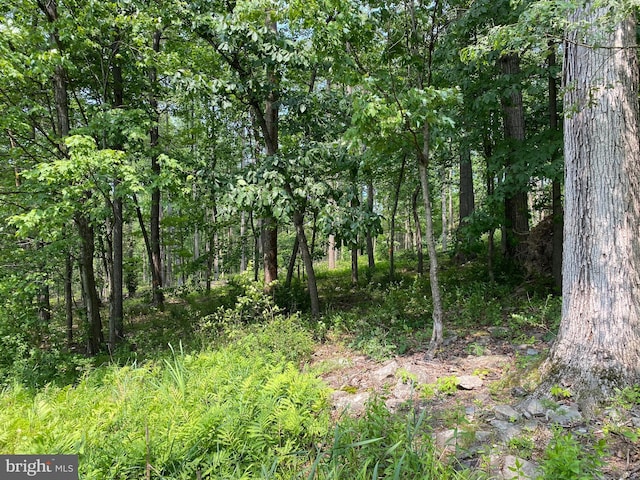 0 Mountain Rd, Shermans Dale, PA 17090