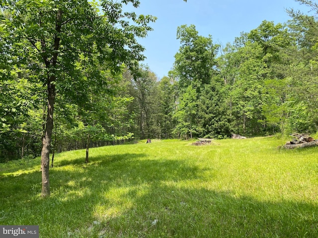 0 Mountain Rd, Shermans Dale, PA 17090