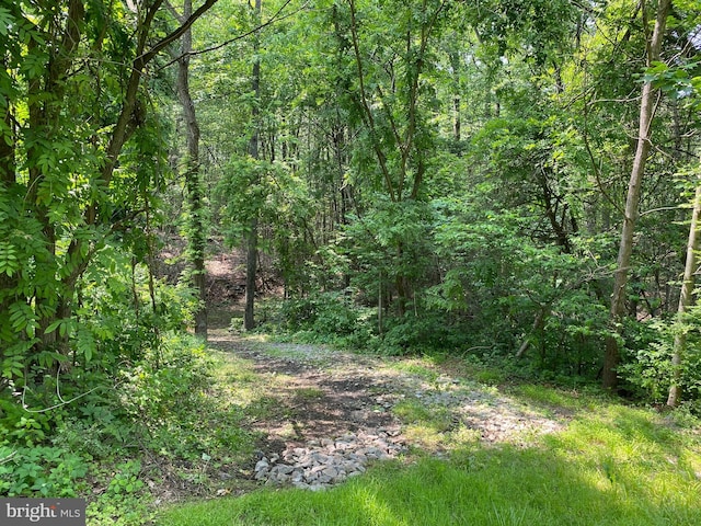 0 Mountain Rd, Shermans Dale, PA 17090