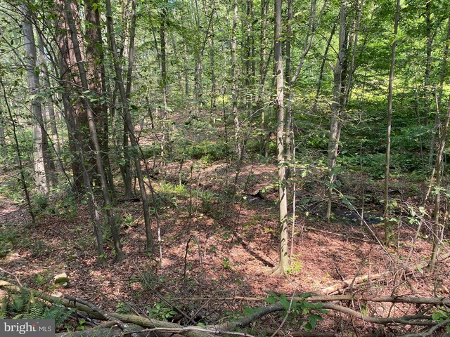 0 Mountain Rd, Shermans Dale, PA 17090