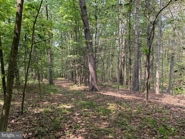 0 Mountain Rd, Shermans Dale, PA 17090