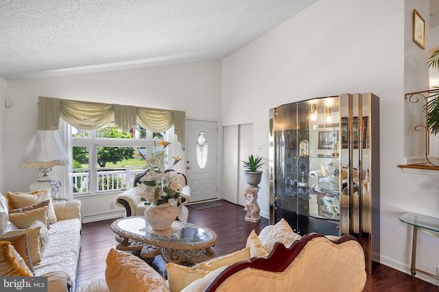 2603 Manall Ave, Pennsauken, NJ 08109 - living room with a textured ceiling, dark wood-type flooring, high vaulted ceiling, and baseboard heating