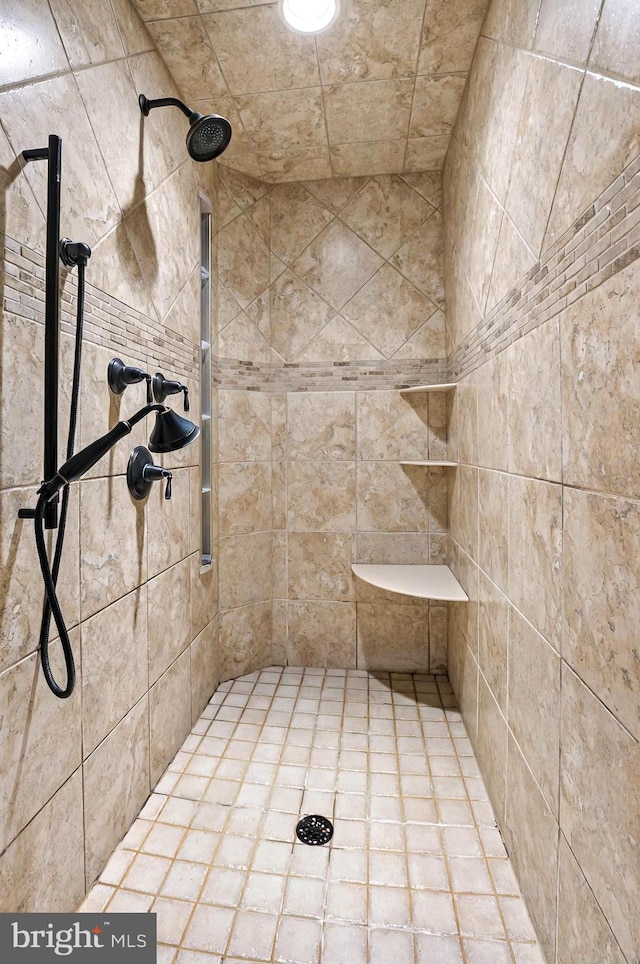 1780 Eliza Way, Mechanicsburg, PA 17050 - full bathroom with tiled shower