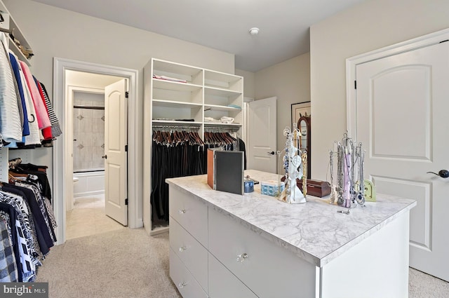1780 Eliza Way, Mechanicsburg, PA 17050 - walk in closet with light colored carpet