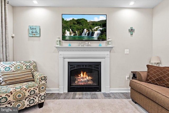 308 Walnut Dr, Fredericksburg, VA 22405 - living area with wood finished floors, baseboards, and a glass covered fireplace