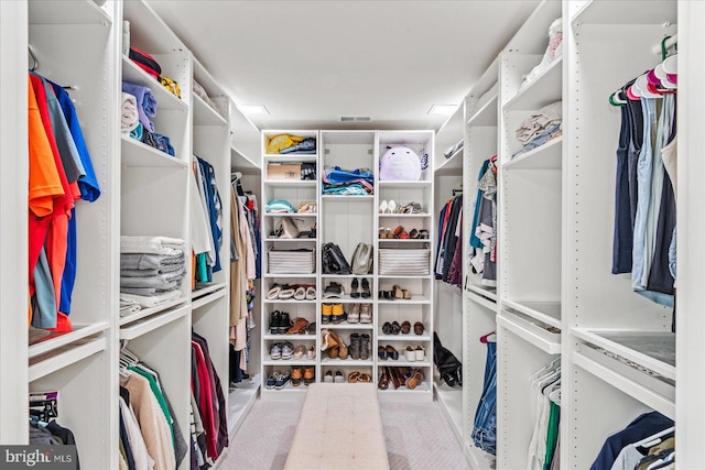 308 Walnut Dr, Fredericksburg, VA 22405 - view of walk in closet