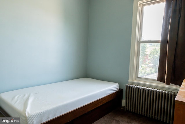 21 E 3rd St, Boyertown, PA 19512 - bedroom featuring radiator and dark colored carpet