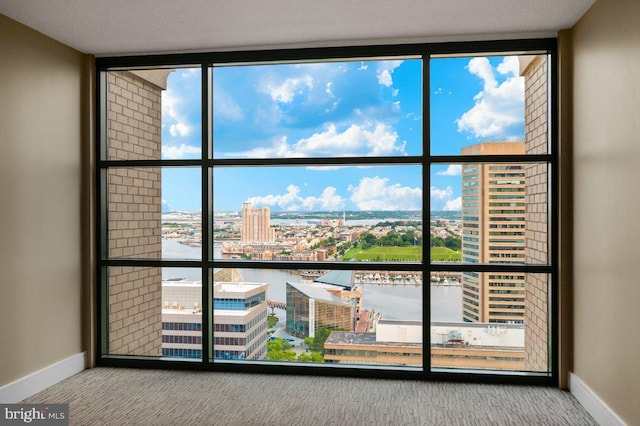 414 Water St Unit 2805, Baltimore, MD 21202 - detailed view of a city view, carpet, and baseboards