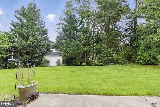 6178 Hardy Dr, Mclean, VA 22101 - view of grassy yard