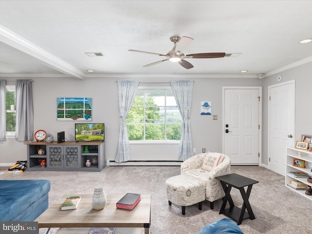 180 Oak Heights Rd, Front Royal, VA 22630 - living area with baseboard heating, carpet flooring, ceiling fan, ornamental molding, and recessed lighting