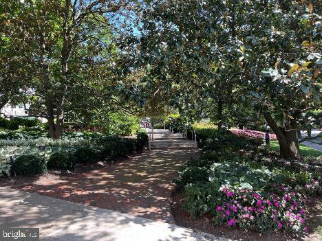 4515 Willard Ave Unit 2309S, Chevy Chase, MD 20815 - view of community