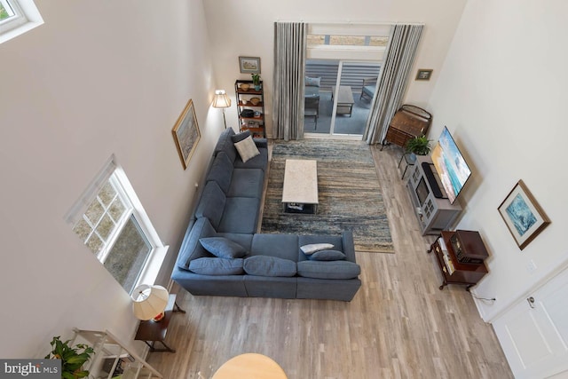 35031 Dundee St Unit 6, Frankford, DE 19945 - living room with a high ceiling and wood finished floors